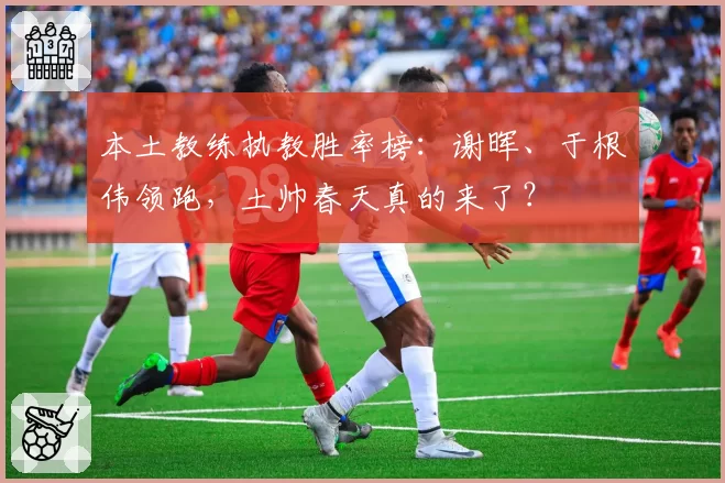 本土教练执教胜率榜：谢晖、于根伟领跑，土帅春天真的来了？